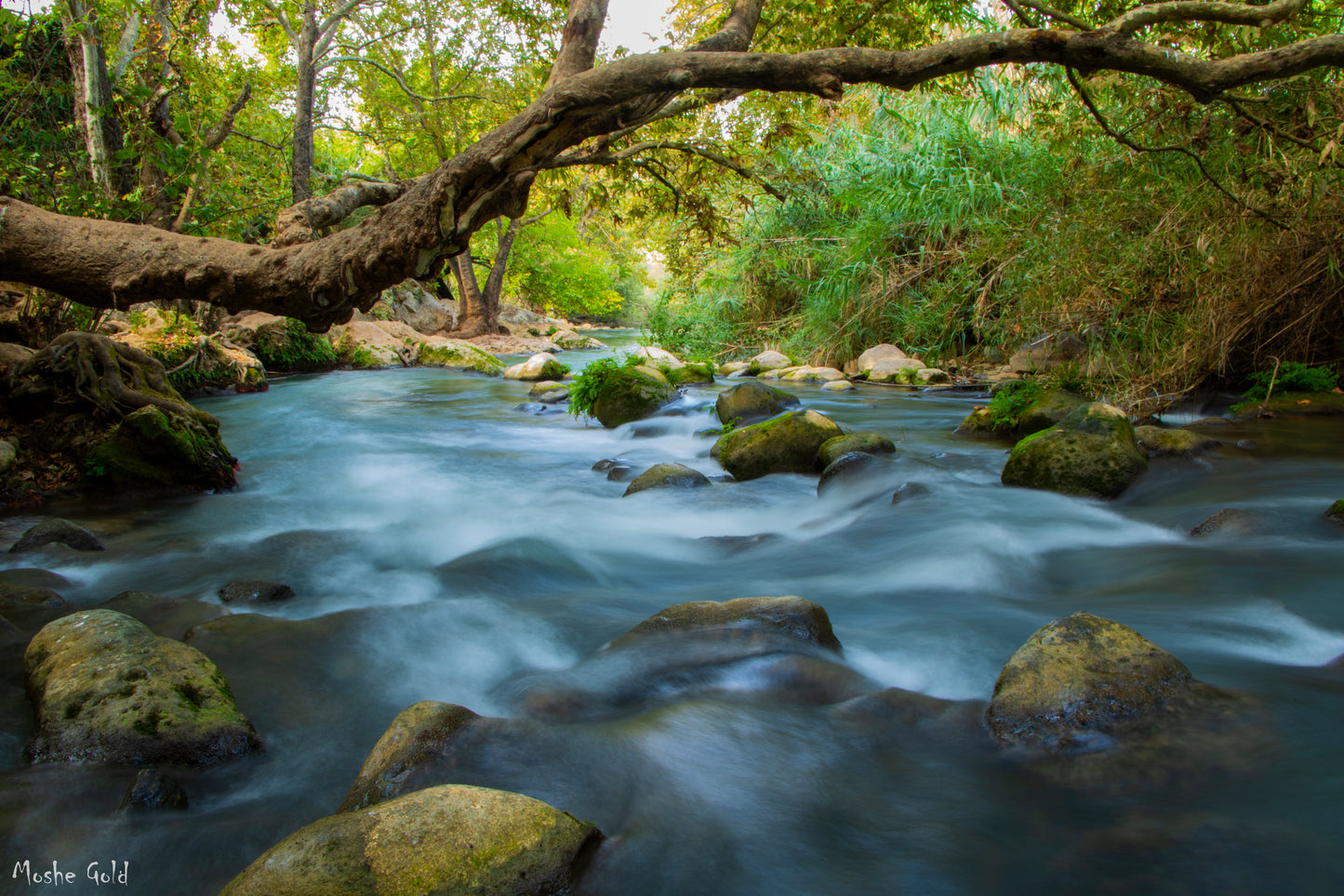 Hazbani river