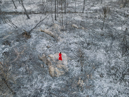 Red dress in a burnt forest in the hills of Jerusalem