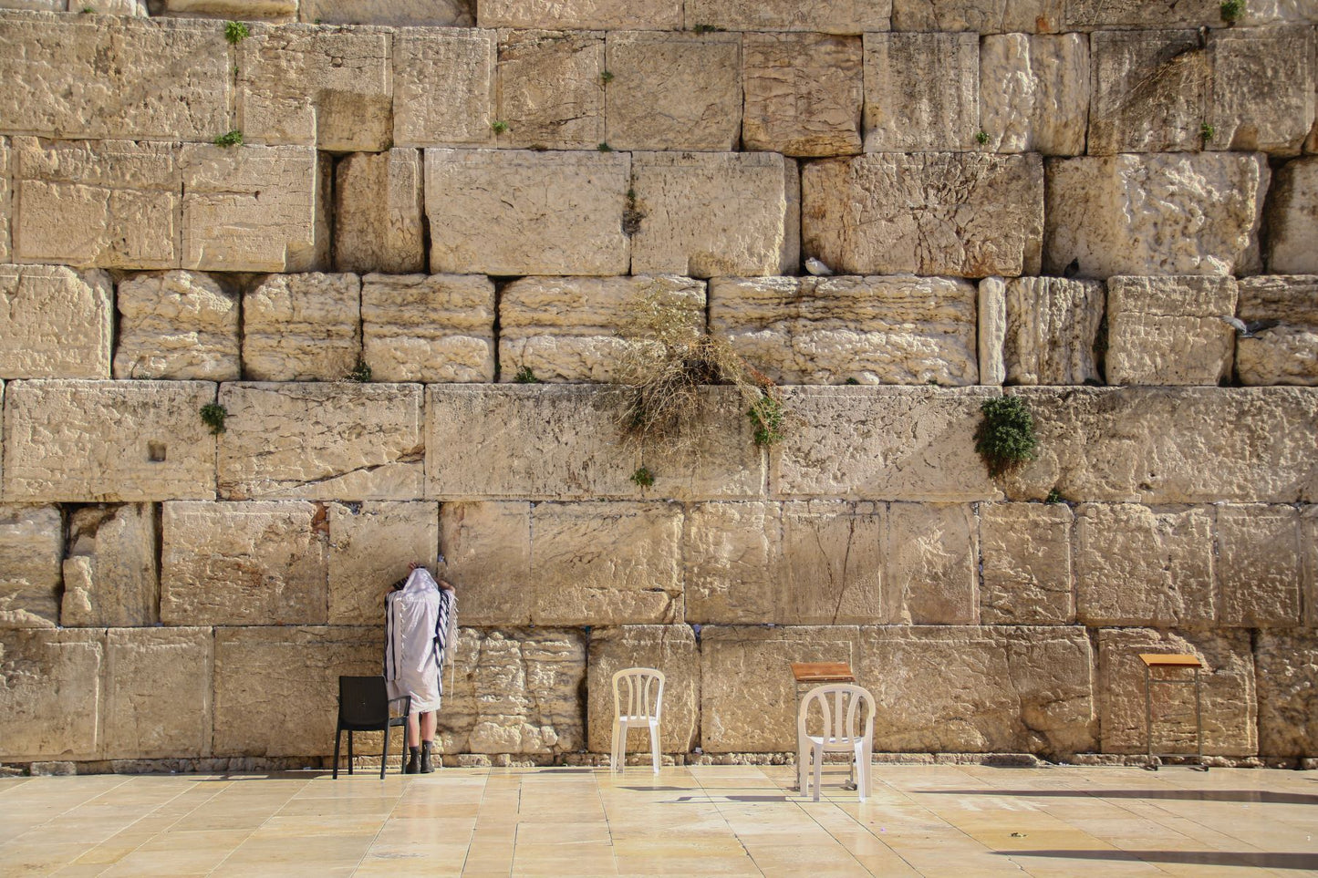 Man at the Western Wall