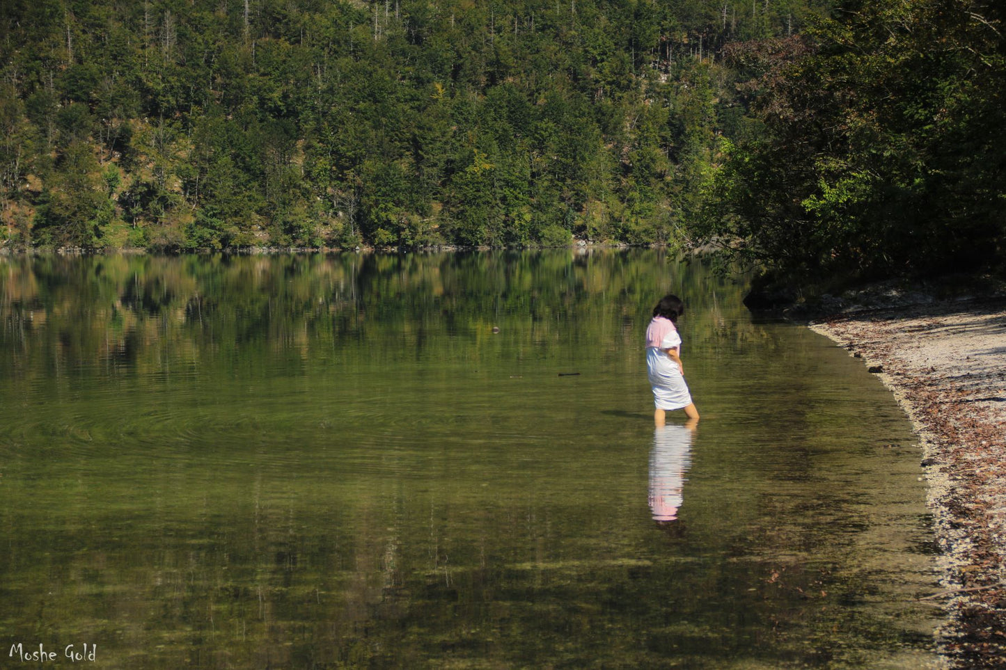 Lake Bohinj, Slovenia