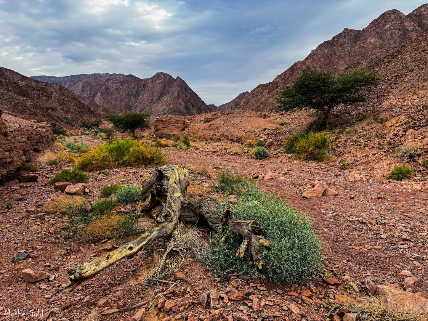 Timna valley