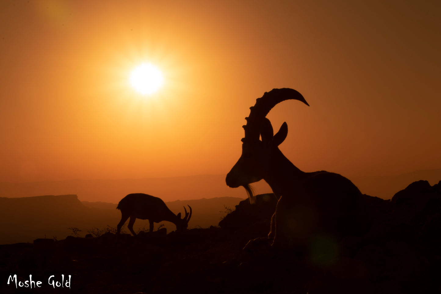 by the Ramon Crater