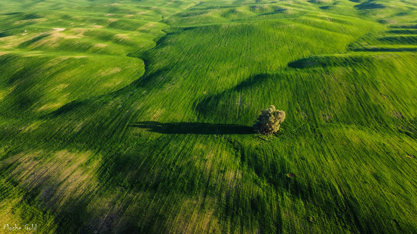 Ruhama Badlands from the bird's eye