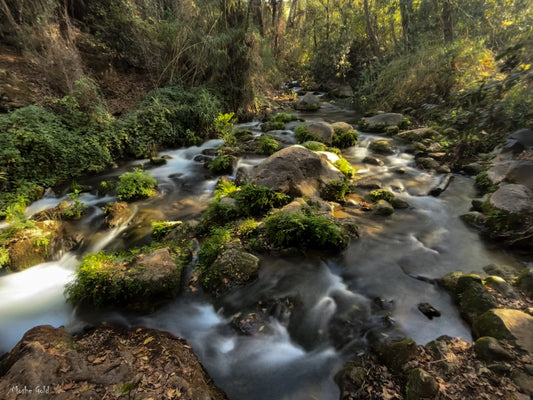 Banias river 2 (Copy)