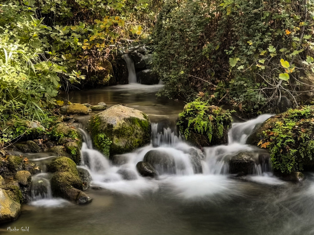 Banias riverbed northern Israel