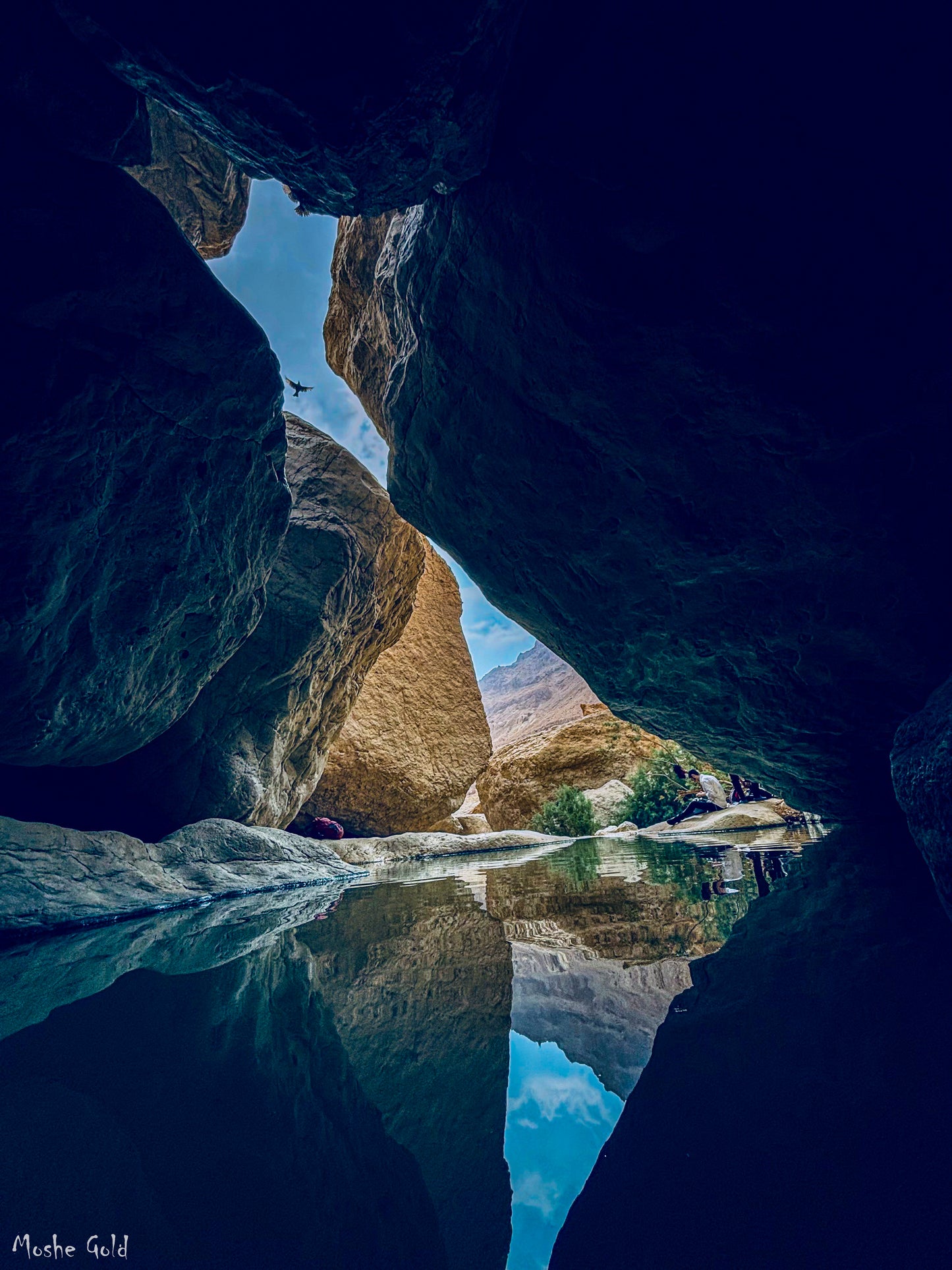 Namer Spring - Judean Desert